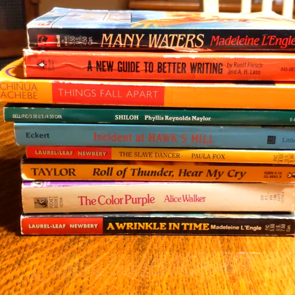 ⭐ Young Adult Book Lot 9 Books